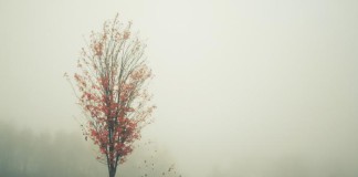 Атмосферные фотографии Элизабет Гэдд