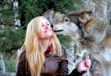 Приют для волков и койотов