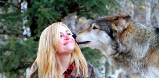 Приют для волков и койотов