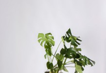 Необычные цветочные горшки на ножках