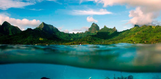 10 уникальных полуподводных фотографий