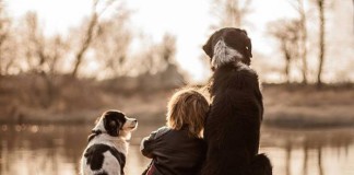 Малыш и три друга