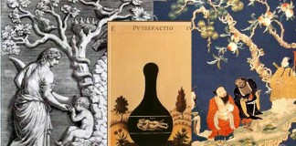 Бессмертие, эликсир жизни и пища богов