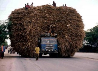 Как надо загружать свой транспорт — это невероятно