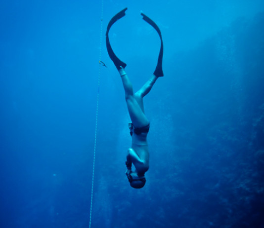 Фридайвинг и наука — факты и комментарии