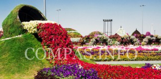 Парк цветов в Дубае