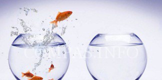 Маленькие полезные советы, которые сделают вашу жизнь приятнее