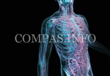 Очередная порция забавных фактов