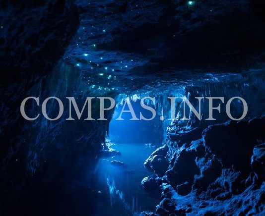 Пещера светящихся червячков в Новой Зеландии