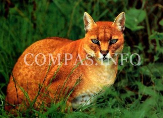 О чем вы могли не знать