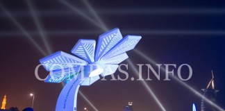 Умные пальмы