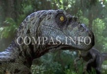 Интересные явления