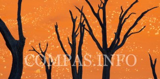 Уникальные явления