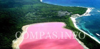 Необычные истории