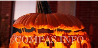 Искусство резьбы по тыкве