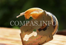 Оригинальные истории