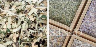 Эффектная утилизация отходов: мебель из настоящих денег