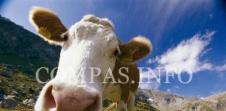 Интересные истории