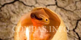 Интересные явления