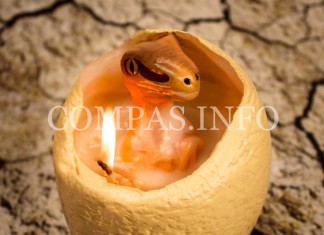 dinosaur candle 4
