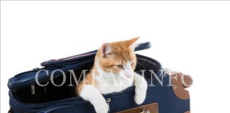 Необычные вещи, которые пригодятся в путешествии