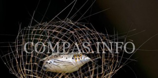 Удивительные сооружения от самых маленьких архитекторов планеты