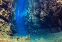Яркие фотографии подводного мира