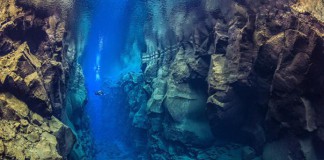 Яркие фотографии подводного мира