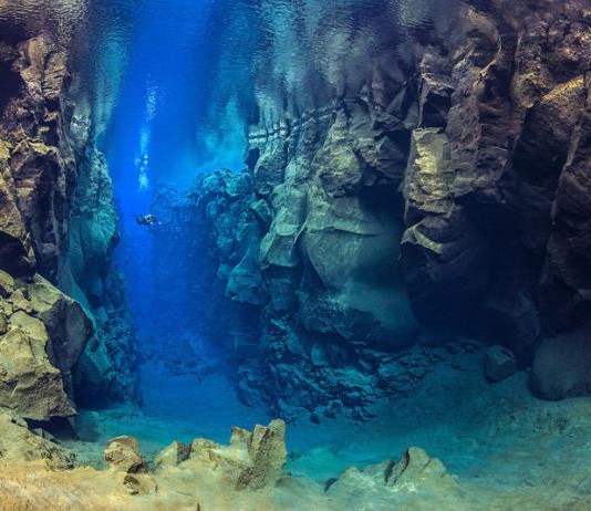 Яркие фотографии подводного мира