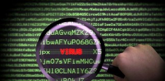 Интересные факты о компьютерных вирусах