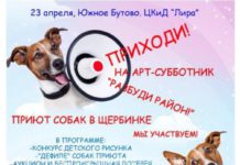 «РАЗБУДИ РАЙОН!» Арт-субботник с участием собак из приюта «Щербинка»
