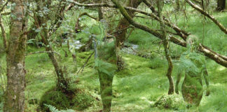 Vestige. Зеркальные скульптуры