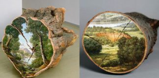 Красивые рисунки на пеньках