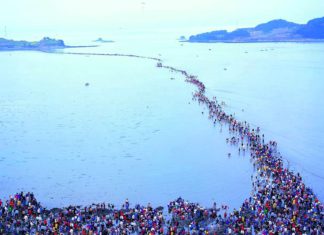 jindo island photo 01