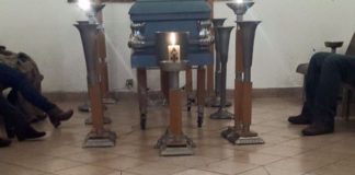 Бездомные собаки пришли на похороны заботившейся о них женщины