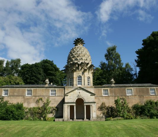 Дом в форме ананаса в Шотландии