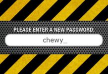 Известный хакер был пойман из-за простого пароля у компьютера