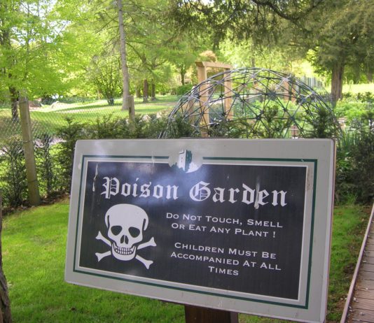Альнвик. Сад смертоносных растений