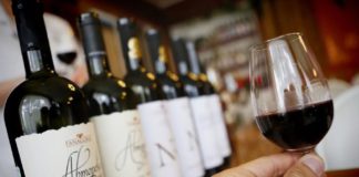 В России появится «Вино России»: одобрен новый для РФ Закон и виноградарстве и виноделии