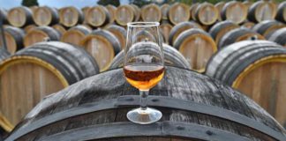 «Закон о виноградарстве и виноделии» от 27.12.2019 № 468-ФЗ подписан Путиным сегодня, 28 декабря 2019