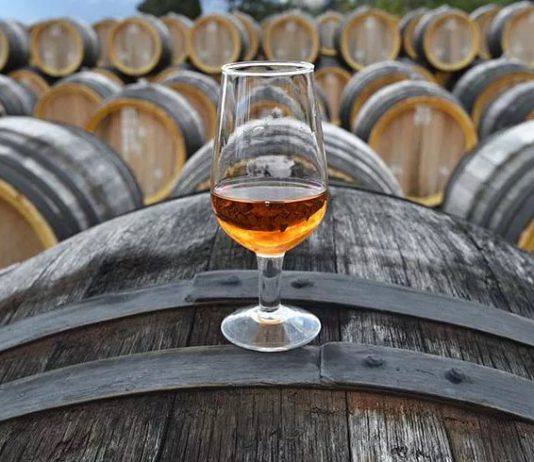 «Закон о виноградарстве и виноделии» от 27.12.2019 № 468-ФЗ подписан Путиным сегодня, 28 декабря 2019