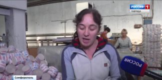 Крым принял эстафету Всероссийского ЭКО-марафона «Сдай макулатуру — спаси дерево!»