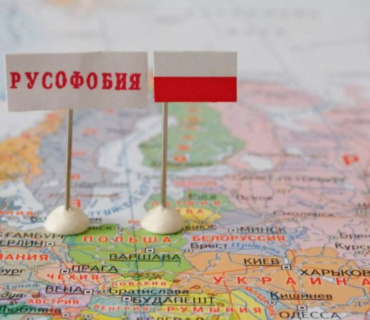 Поляки опять гадят России: жалоба польских экологов на Данию за разрешение Северного Потока-2 Поляки жалуются на Данию за Северный Поток-2