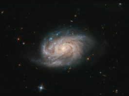 Потрясающее фото галактики NGC 1803 (созвездие Живописец) от космического телескопа Хаббл Потрясающее фото галактики NGC 1803 (созвездие Живописец) от космического телескопа Хаббл