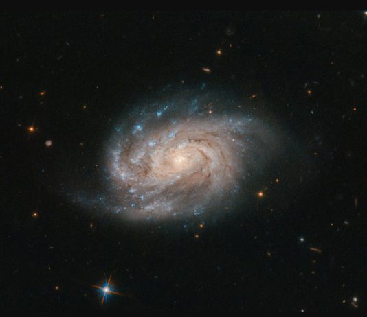 Потрясающее фото галактики NGC 1803 (созвездие Живописец) от космического телескопа Хаббл Потрясающее фото галактики NGC 1803 (созвездие Живописец) от космического телескопа Хаббл