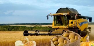 Новая Доктрина продовольственной безопасности в России, информация от Минсельхоза РФ Новая Доктрина продовольственной безопасности в России, информация от Минсельхоза РФ