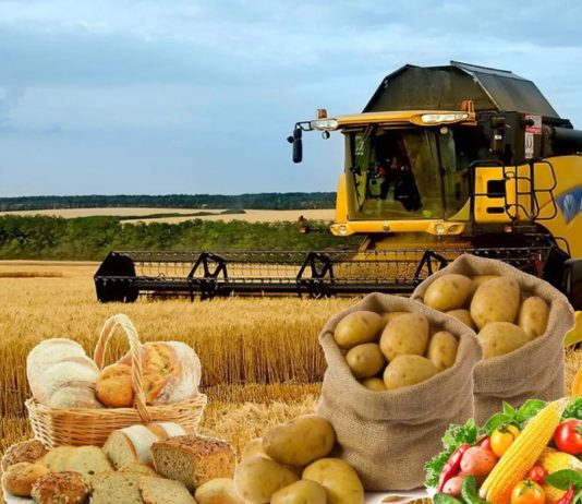 Новая Доктрина продовольственной безопасности в России, информация от Минсельхоза РФ Новая Доктрина продовольственной безопасности в России, информация от Минсельхоза РФ