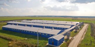 Как и почему более 5% сельхозугодий России оказались в руках иностранцев вопреки законам РФ? Как и почему более 5% сельхозугодий России оказались в руках иностранцев вопреки законам РФ?