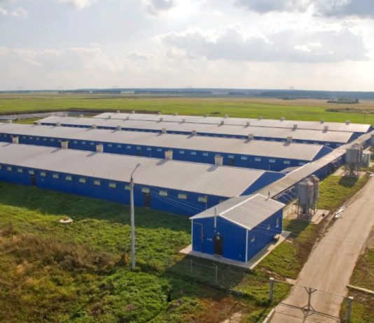 Как и почему более 5% сельхозугодий России оказались в руках иностранцев вопреки законам РФ? Как и почему более 5% сельхозугодий России оказались в руках иностранцев вопреки законам РФ?