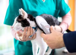 Со 2 марта по 30 апреля с.г. в государственных ветклиниках Москвы пройдет Акция чипирования домашних питомцев Со 2 марта по 30 апреля с.г. в государственных ветклиниках Москвы пройдет Акция чипирования домашних питомцев